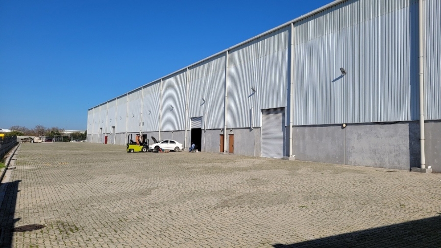 To Let Commercial Property for Rent in Bellville South Western Cape